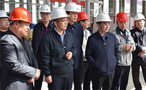 Mayor Xiang Hui of Cangzhou City visited the company to provide guidance and conduct an inspection