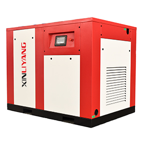 Single-stage permanent magnet screw machine (XTGV series)